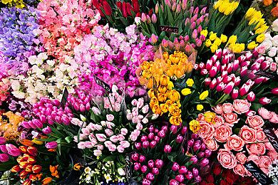 《彩虹六号：围攻》联动《尼尔》上线2B服装